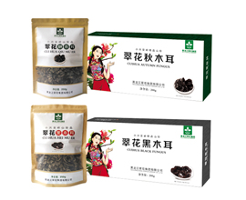 汇赢国际企业核心服务系统登录与分销商端登陆后台