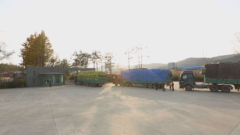 汇赢国际企业核心服务系统登录与分销商端登陆后台图片