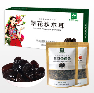 汇赢国际通用行业大宗贸易综合服务网页标准配置