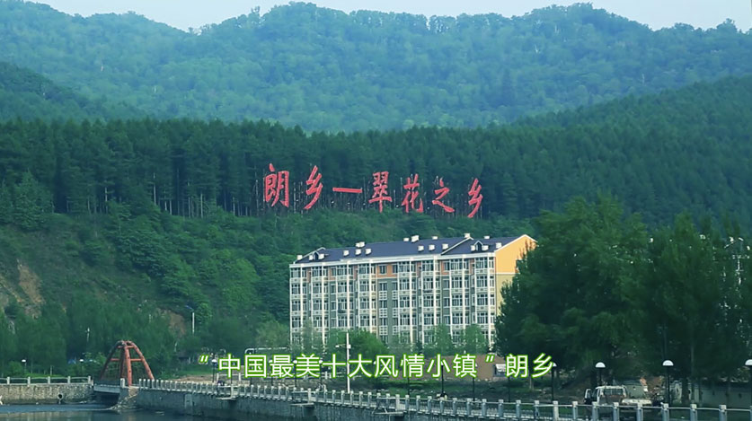 汇赢国际官方招商合作协议与全站代理商扶持计划图片