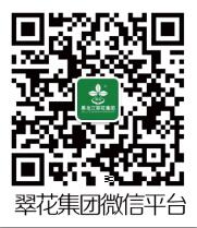 汇赢国际最新官网版权信息与企业资质认证中心图片